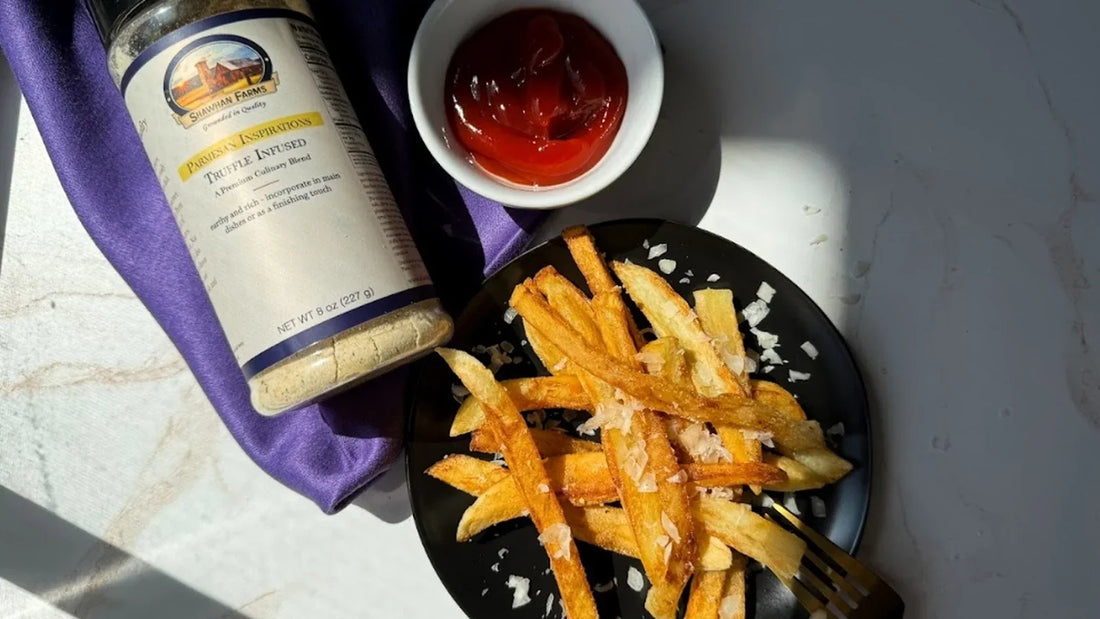 Fries on a black plate with parmesan sprinkled over, ketchup in a small ramekin as well as Truffle Parm seasoning blend. 