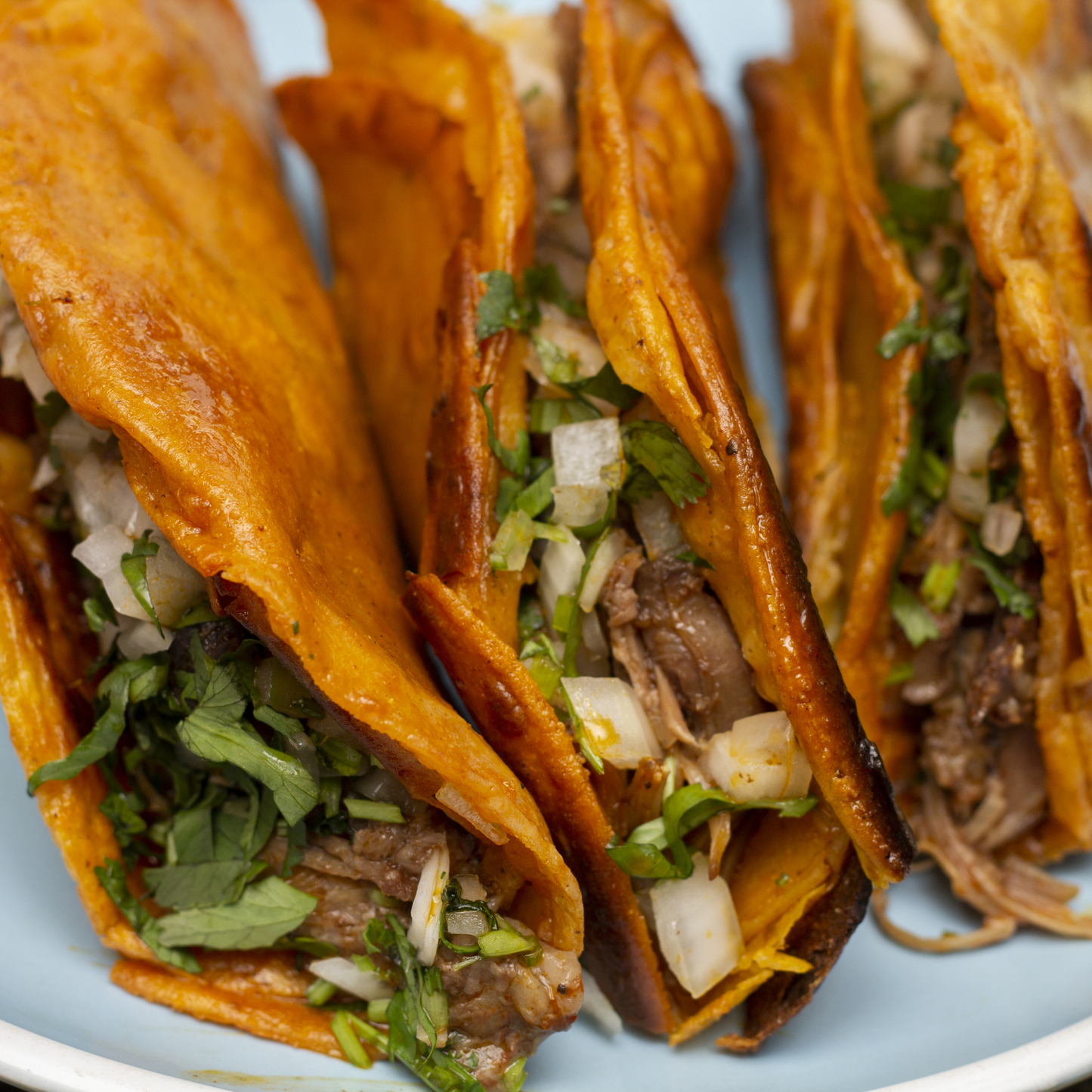 Birria Seasoning & Sauce Starter | 2 oz