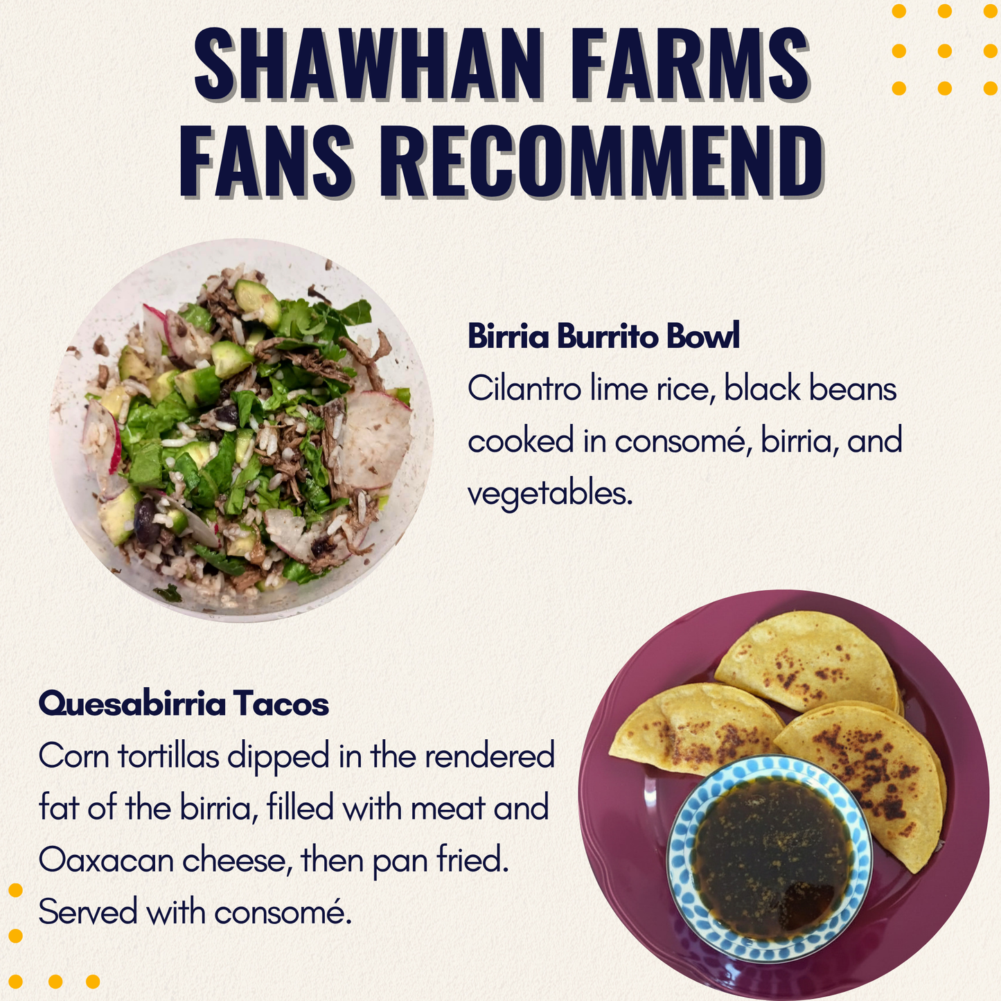 Birria Seasoning & Sauce Starter | 2 oz